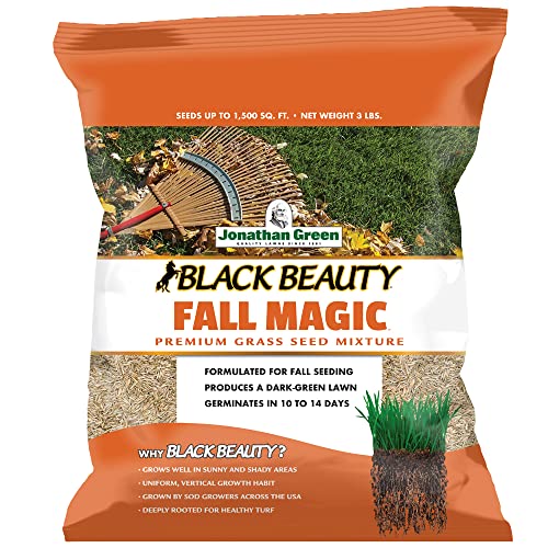 Black Beauty Fall Magic Grass Seed - Cool Season Lawn Seed (3 lb) Z84380
