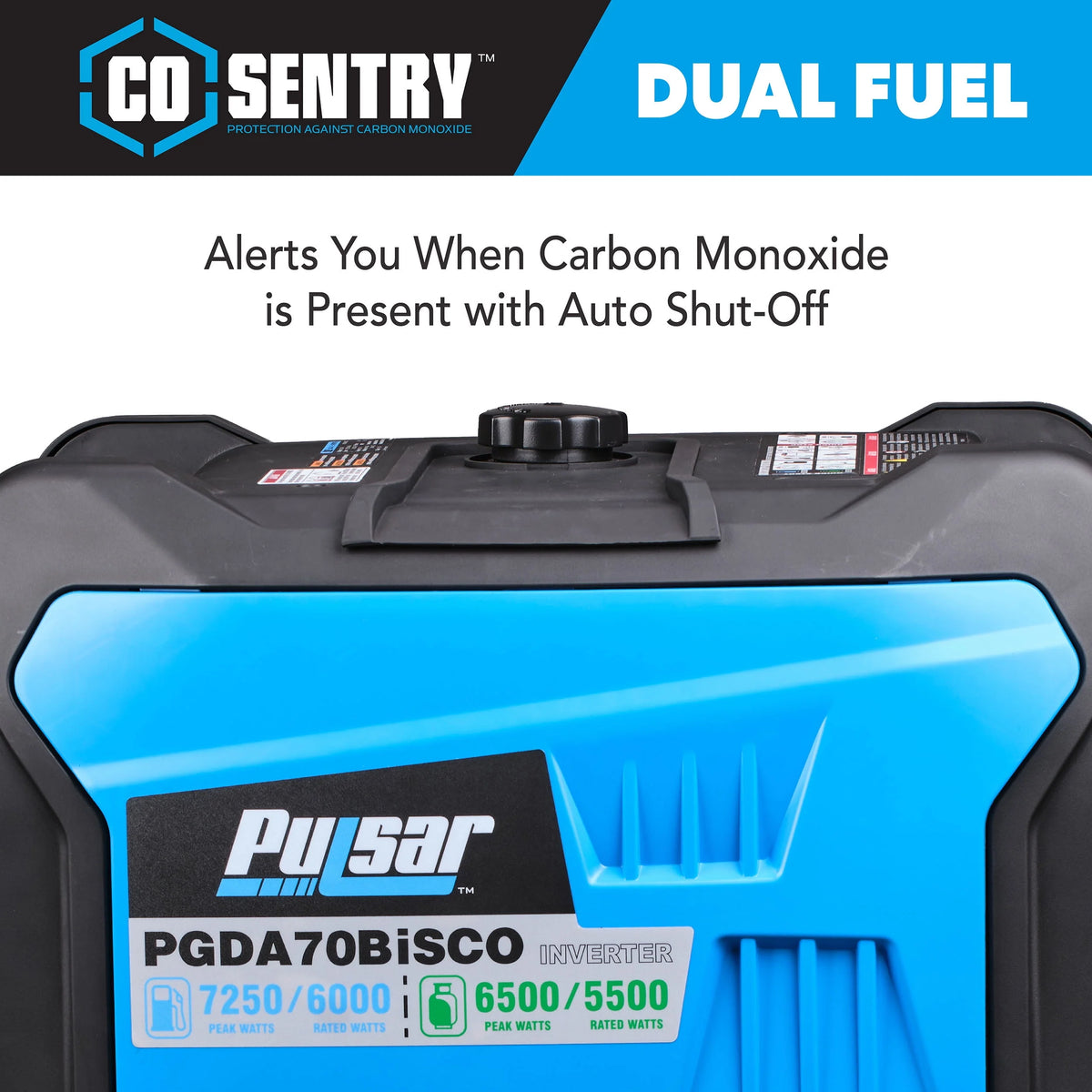 7,250 Watt Dual Fuel Inverter Generator G15413
