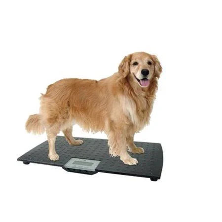 Large Digital Pet Scale - Black W829