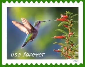 Booklet of 20 First-Class Mail Forever Postage Stamps C724575