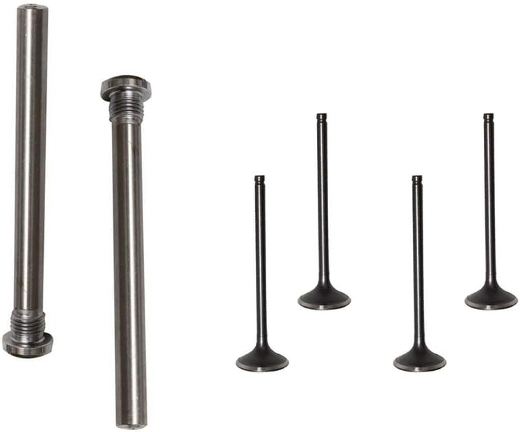Cylinder Head Rebuild Intake Valve Repair Kit T723101