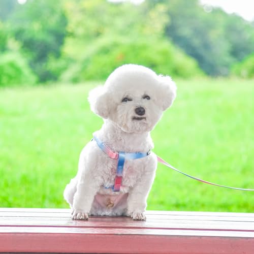 Pink-Purple Gradient Step in Dog Harness with Leash F23891