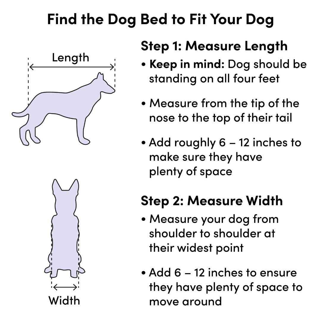 Dog Sofa E958
