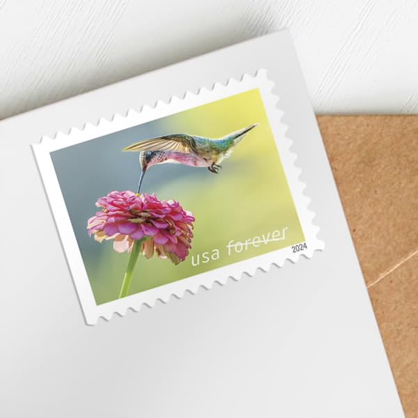 Booklet of 20 First-Class Mail Forever Postage Stamps C724575