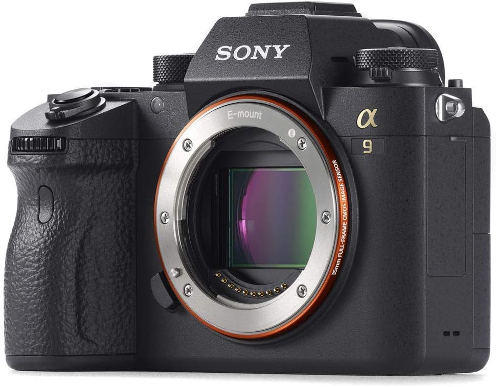Mirrorless Digital Camera Body Only with 100-400mm Lens, 64GB Memory Card, Battery, Case, Card Reader R14379