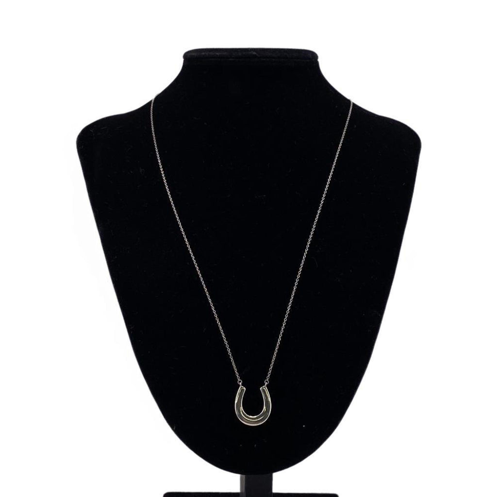 Horseshoe Necklace Silver Z8504