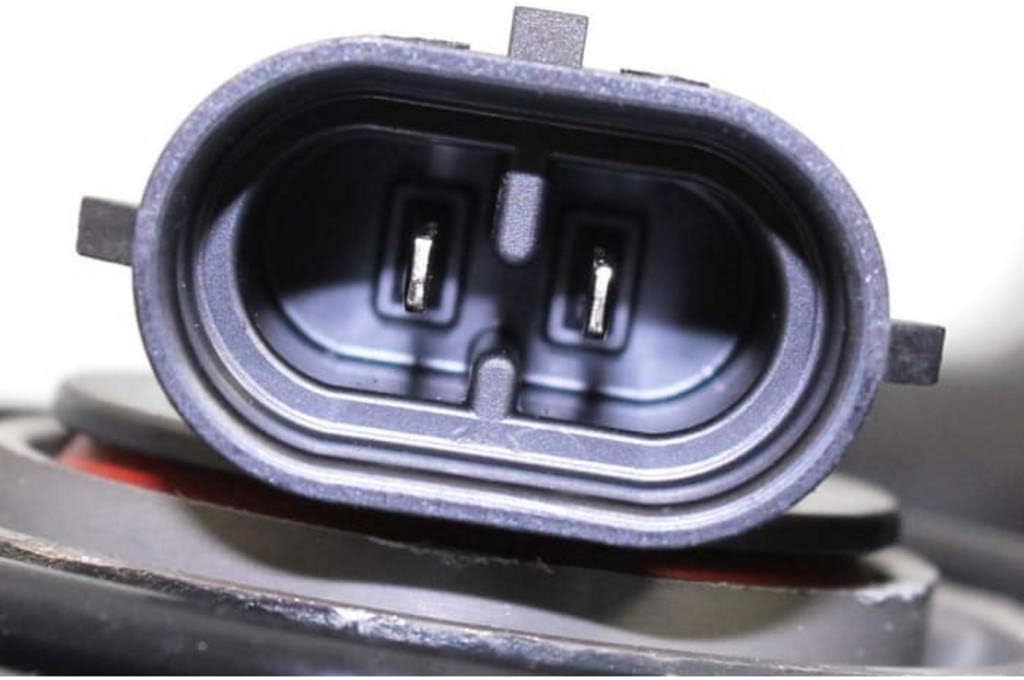 Passenger Side Halogen Headlight Assembly C111269