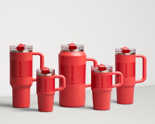 Insulated Stainless Steel Tumbler with Straw and Handle Y2534