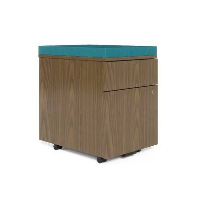 Carini Walnut/Bayou 2-Drawer Vertical Filing Cabinet W567