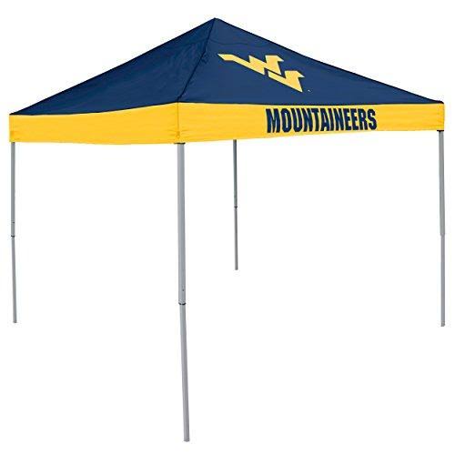 Economy Canopy B865543