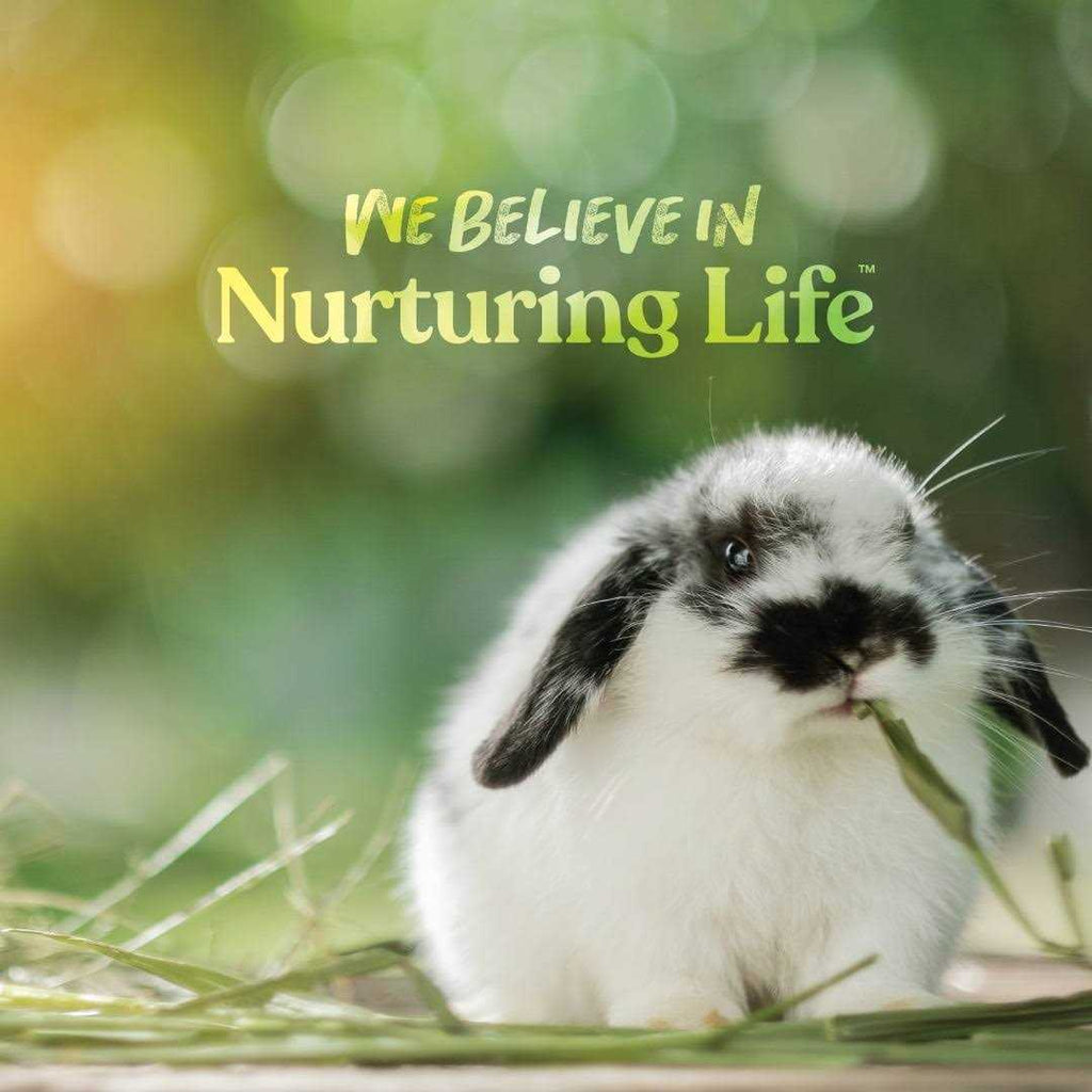 Complete Feed for Rabbit M11637