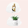 White 2-Pack 8-inch Acrylic Floating Shelves R284568