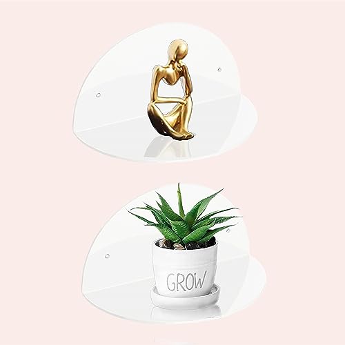White 2-Pack 8-inch Acrylic Floating Shelves R284568