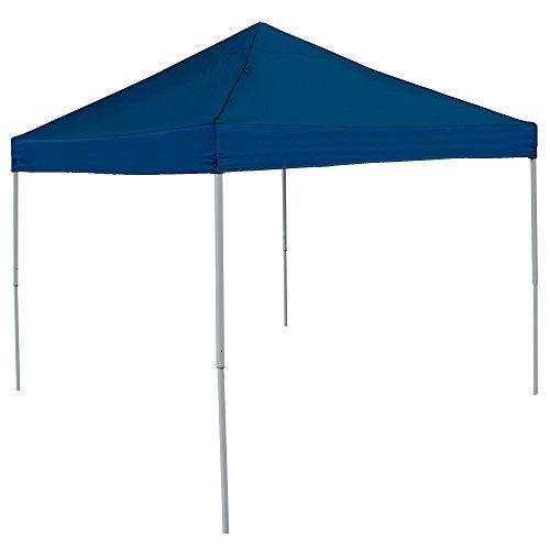 Economy Canopy B865543