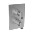 Stainless Steel Thermostatic Trim Plate with Handle E4012