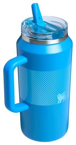 Insulated Stainless Steel Tumbler with Straw and Handle Y2534