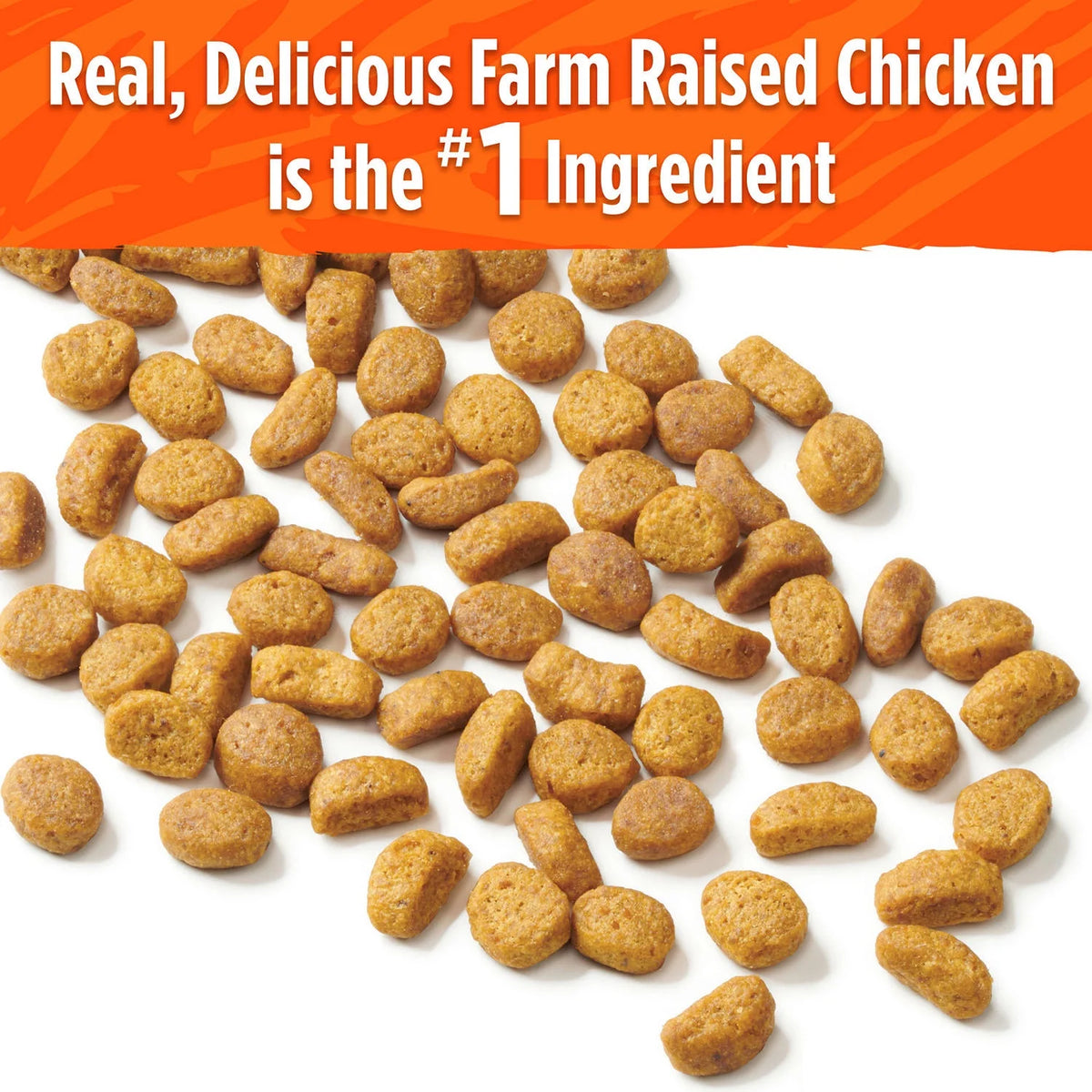 20 lb. Dry Cat Food with Real Chicken P120
