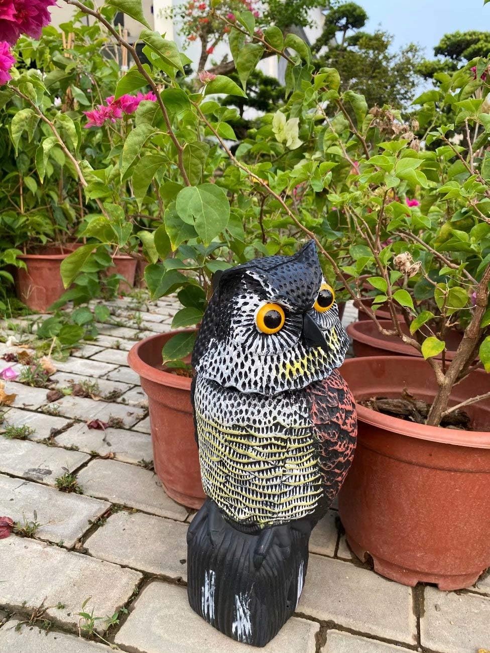 Realistic Owl Decoy with 360 Rotate Head P3582