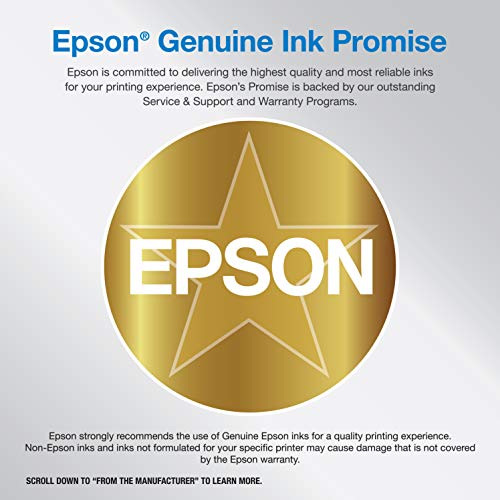 EcoTank Wireless 5-Color All-in-One Supertank Printer with Scanner, Copier and Ethernet N76268