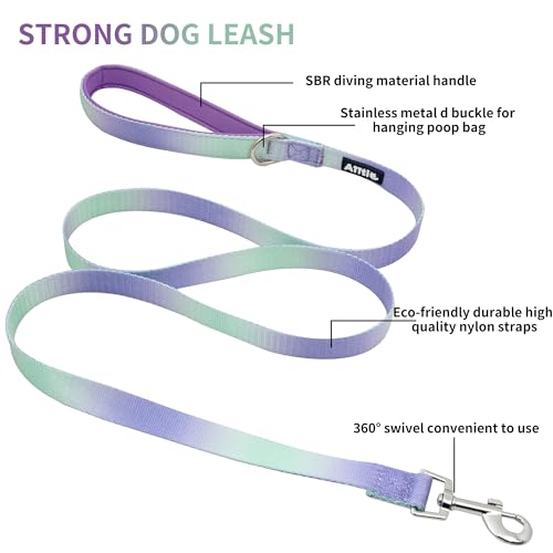 Pink-Purple Gradient Step in Dog Harness with Leash F23891