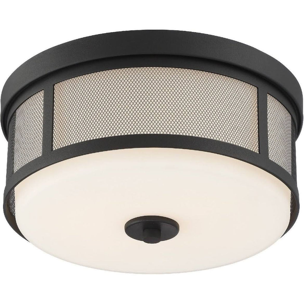 Vibrant Gold 2 Light Ceiling Mount Z590836