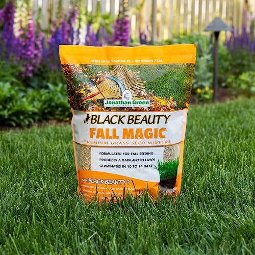 Black Beauty Fall Magic Grass Seed - Cool Season Lawn Seed (3 lb) Z84380