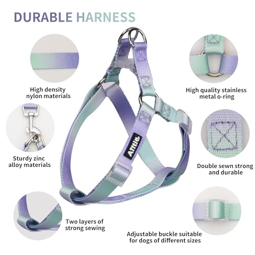 Pink-Purple Gradient Step in Dog Harness with Leash F23891