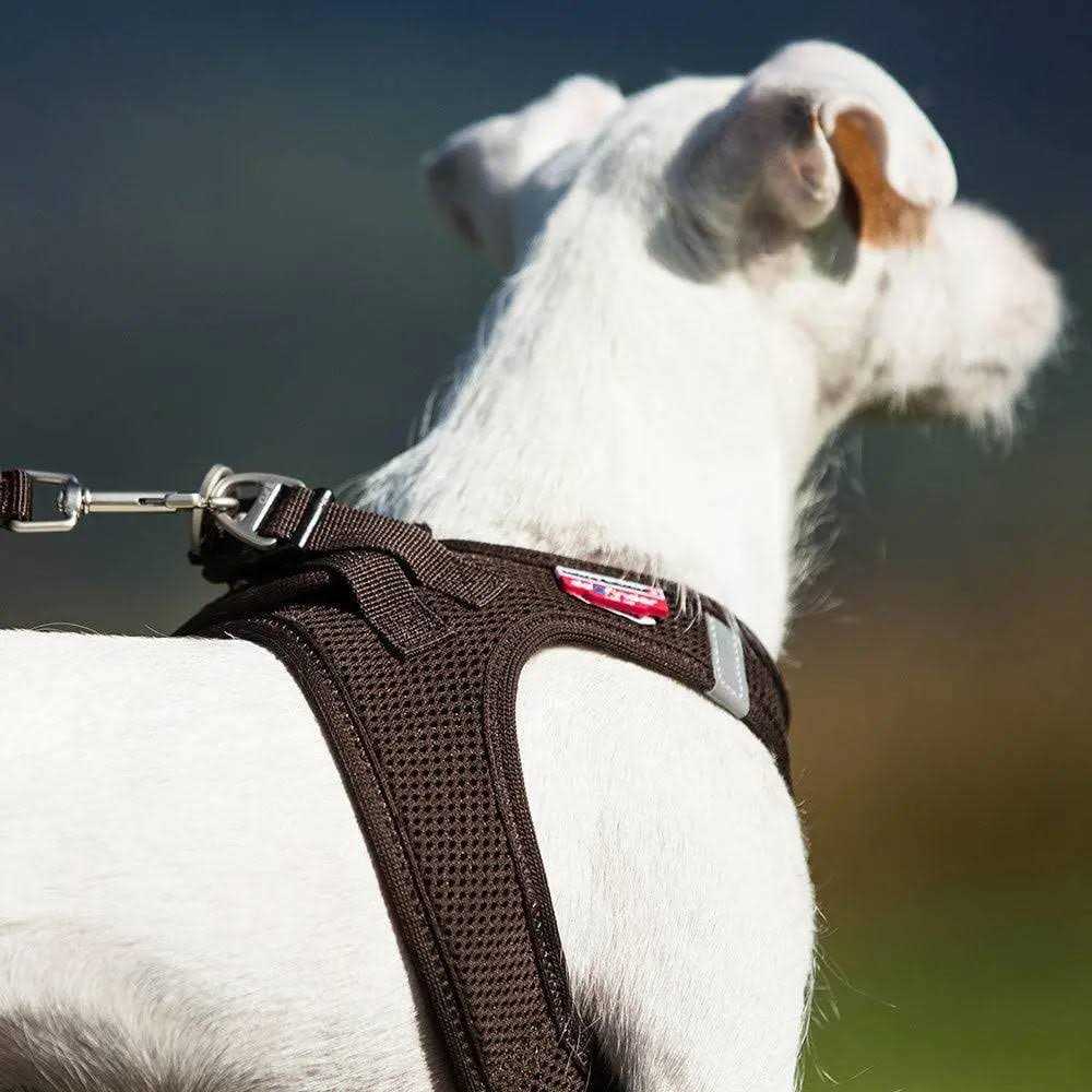 Air-Mesh Vest Harness D961783