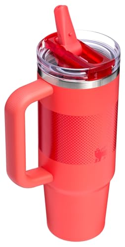 Insulated Stainless Steel Tumbler with Straw and Handle Y2534
