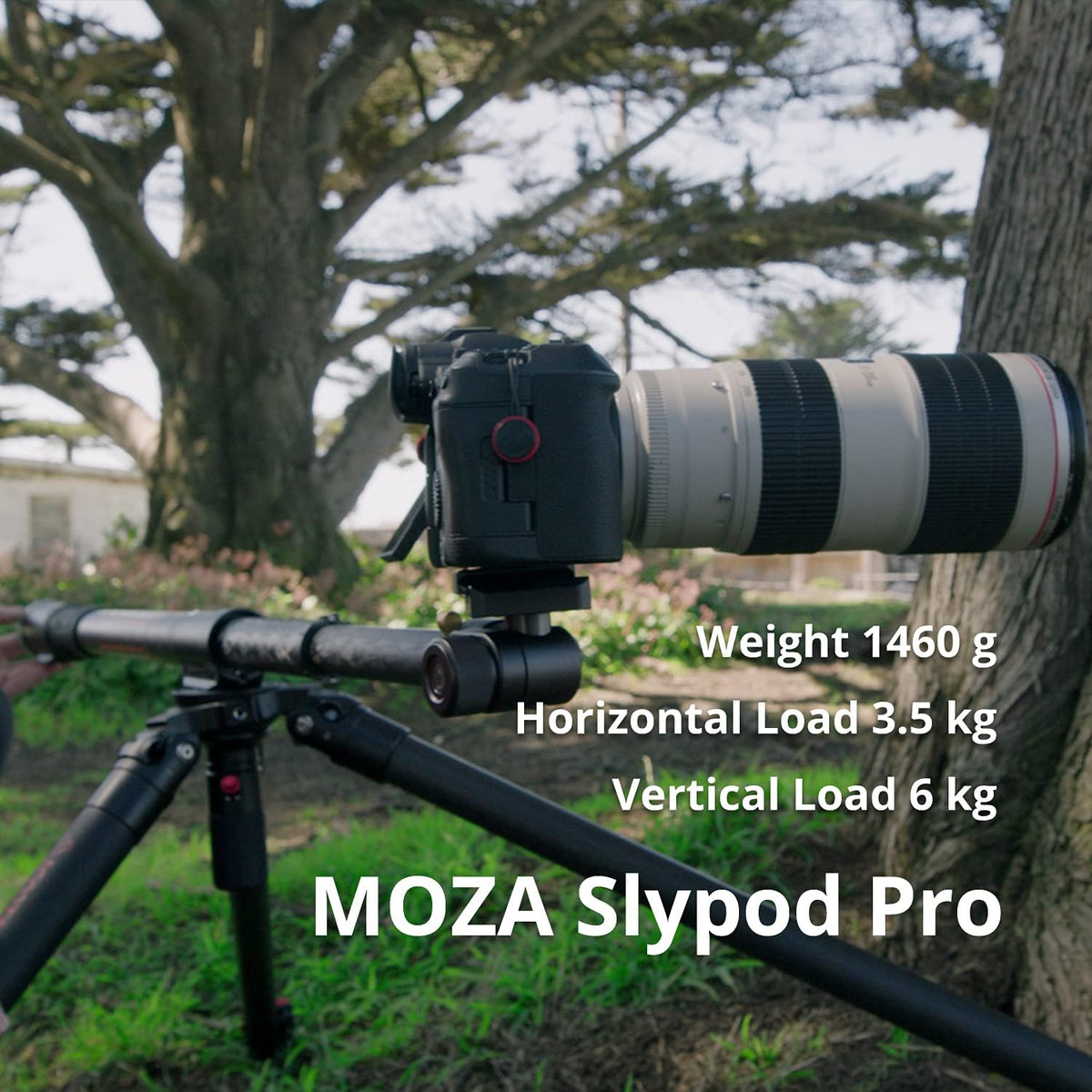 Motorized Monopod Camera Slider with Pan and Tilt Head & Tripod Q51120