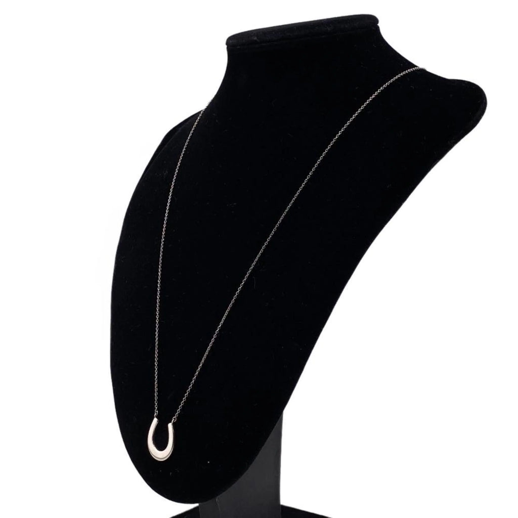 Horseshoe Necklace Silver Z8504