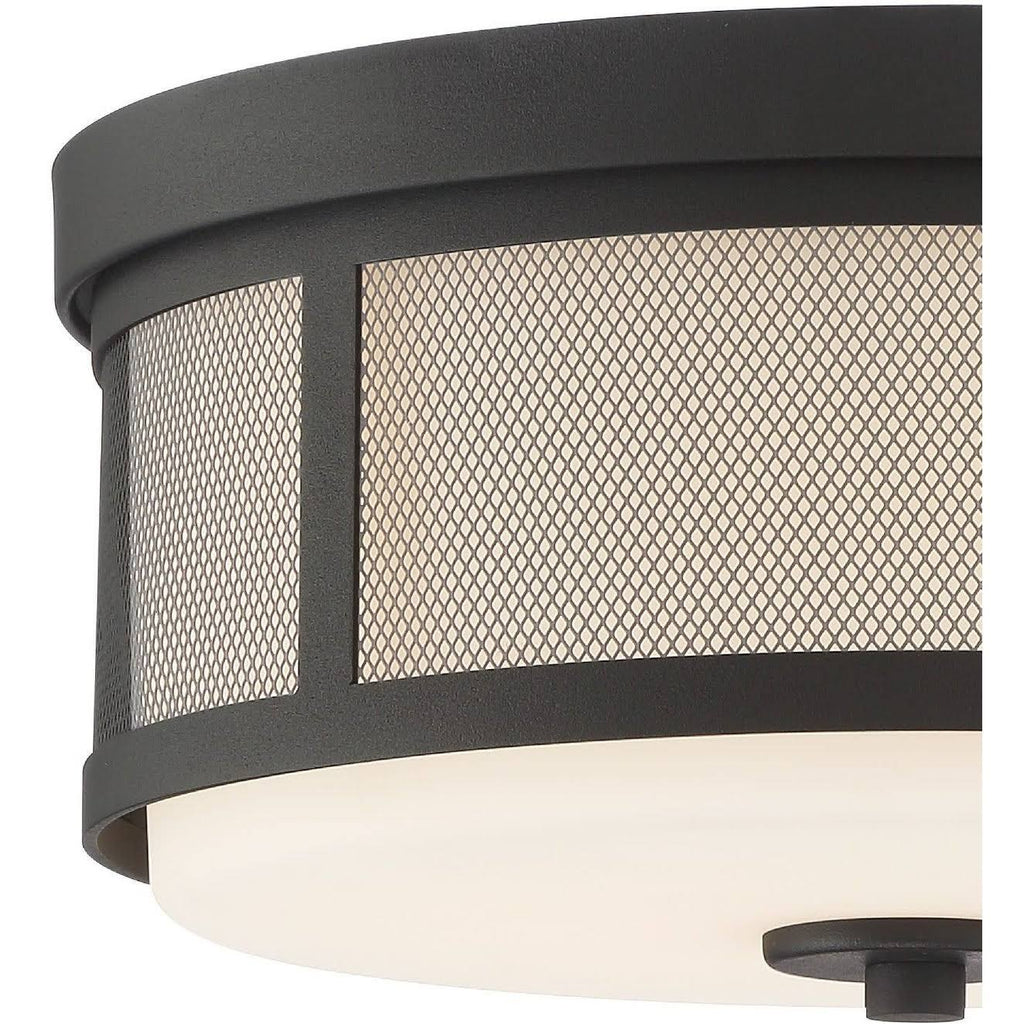 Vibrant Gold 2 Light Ceiling Mount Z590836