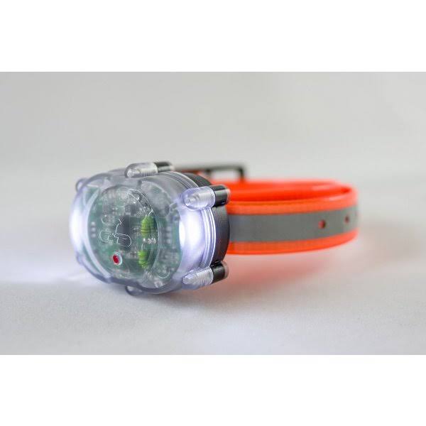 PetPal S.P.O.T. Trainer Z235853