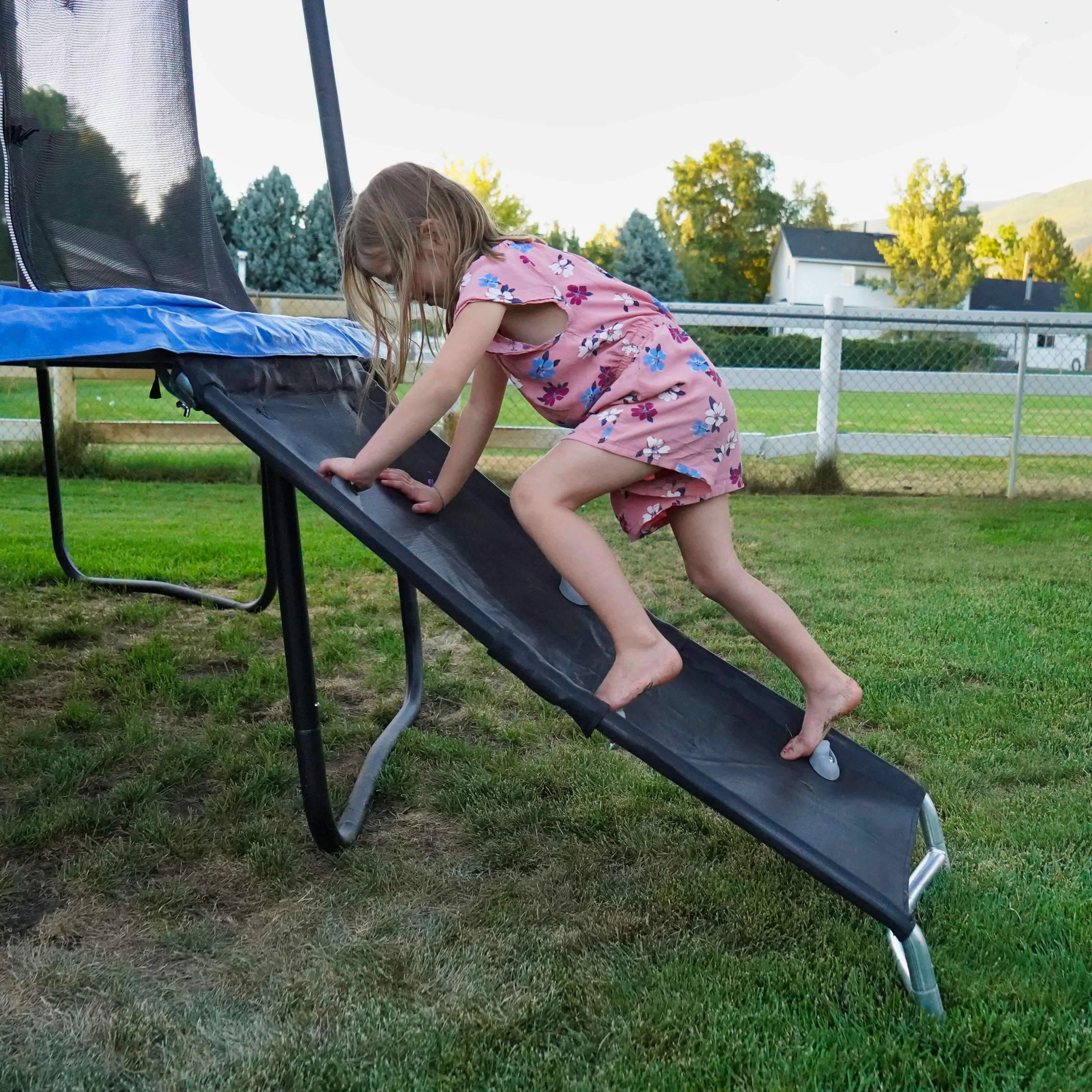Full Size Ladder Ramp Slide Z796